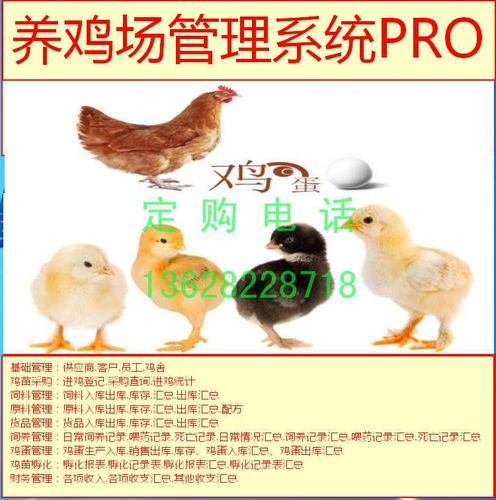 鸡苗养鸡场管理专业版鸡蛋生产销售孵化采购饲料饲养usb电脑锁